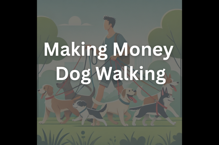 Making Money Dog Walking